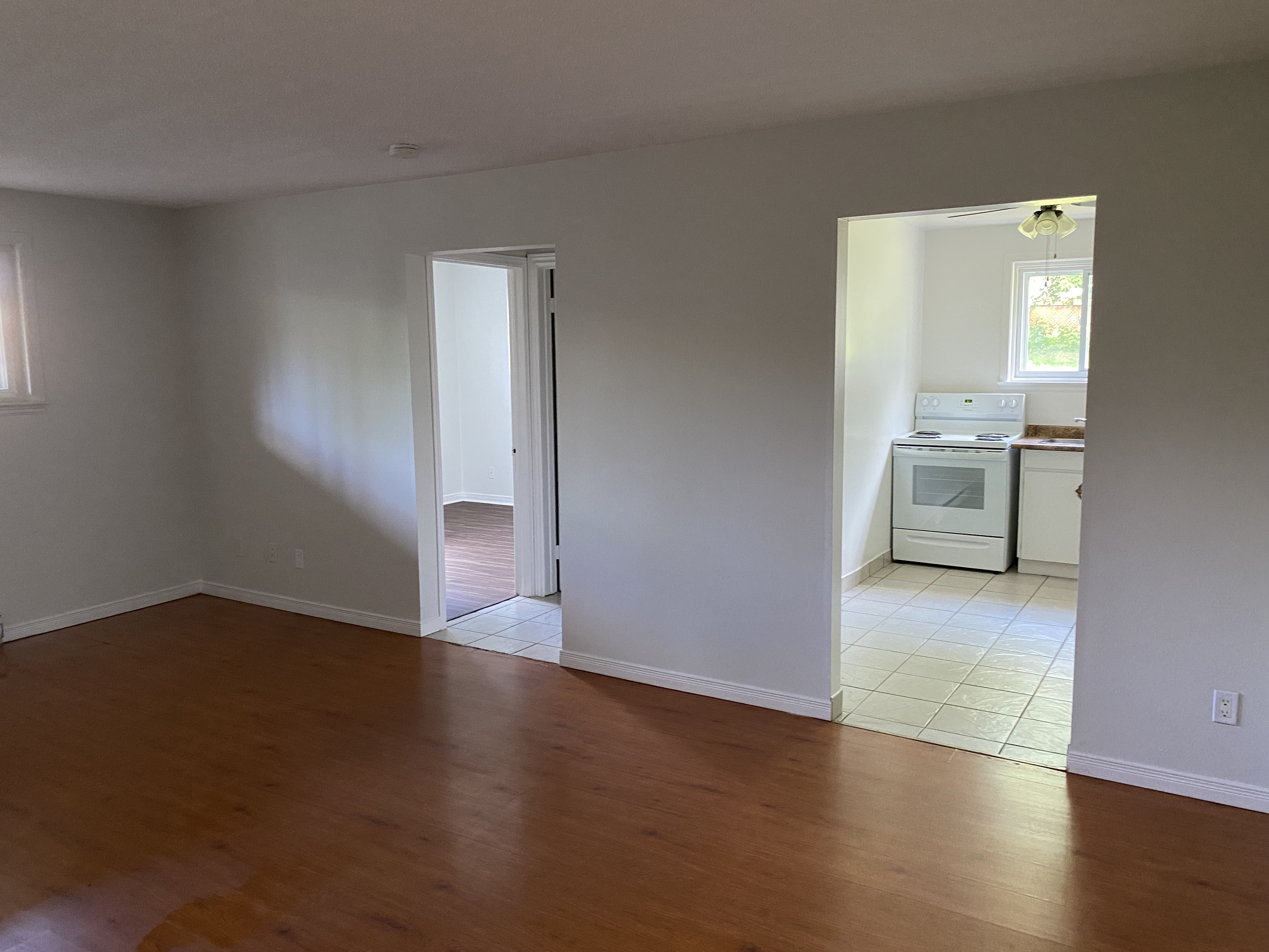 Oak Street Apartments - Collingwood 1 Bedroom 3