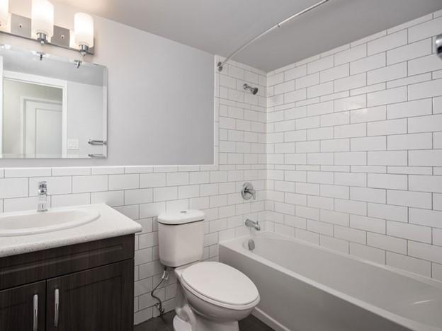 7 Albert Street - 1 Bedroom 3