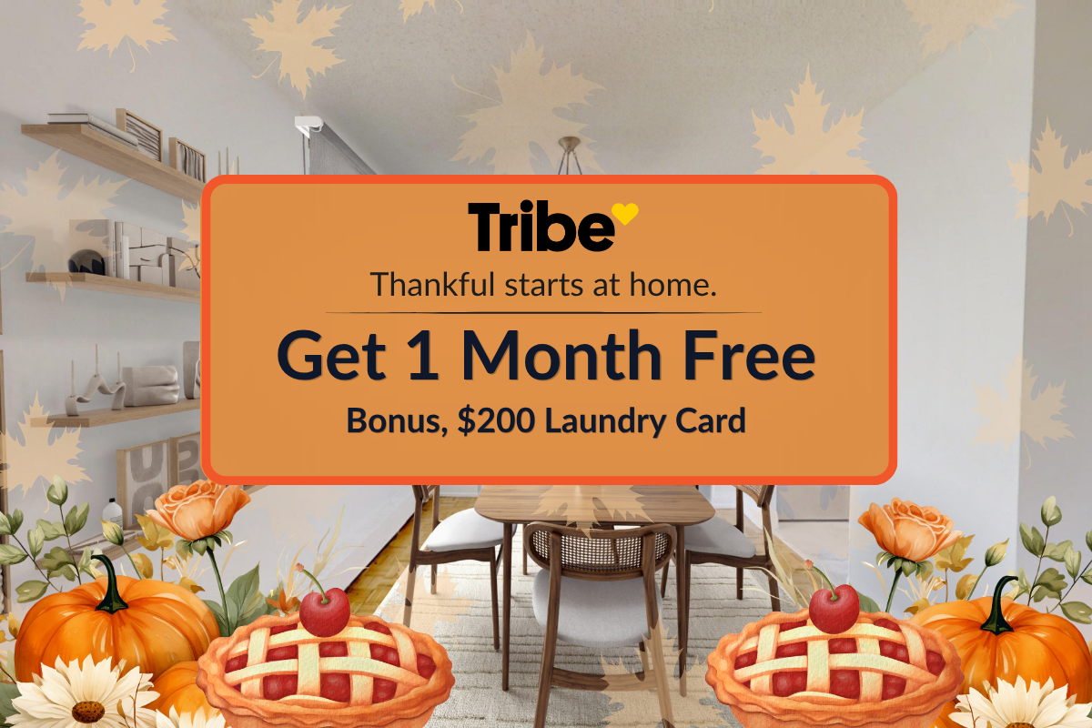 5000 Jane St - JR 2 Bedroom - Get 1 Month Free 2