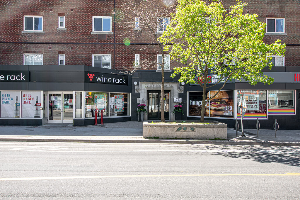 Wellesley Apatments - Downtown 1 Bedroom 5