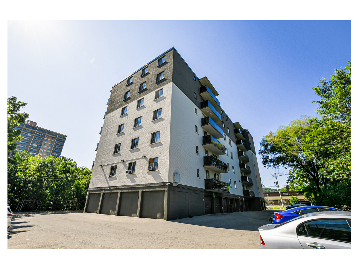 236 Duke St. - 1 Bedroom 3