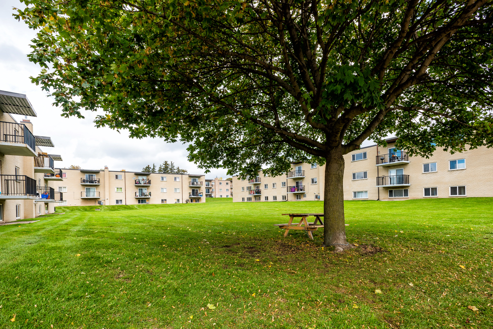 Meadowcrest Apartments - 1 Bedroom 5