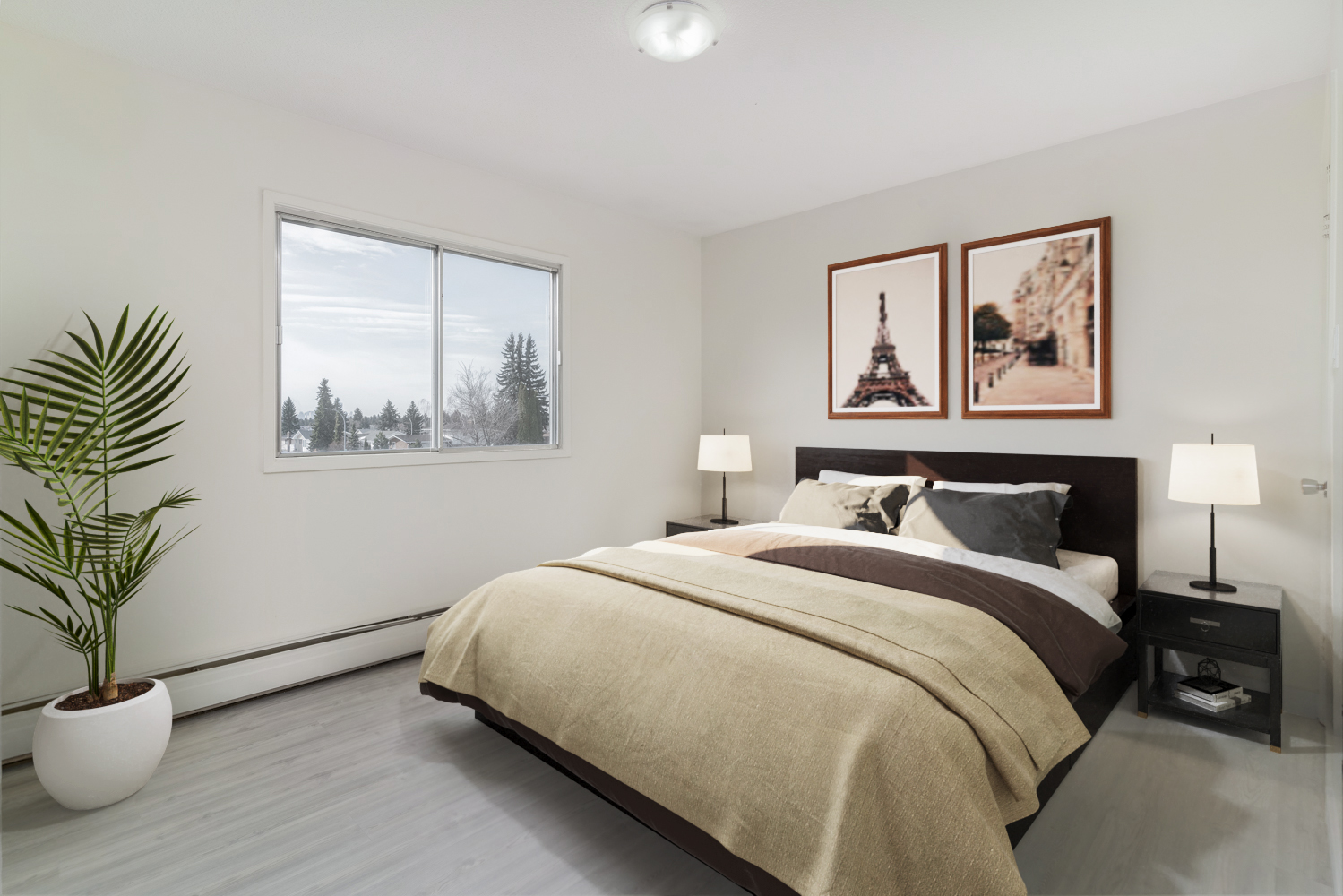 Pinetree Village - 2 Bedroom Basement 3