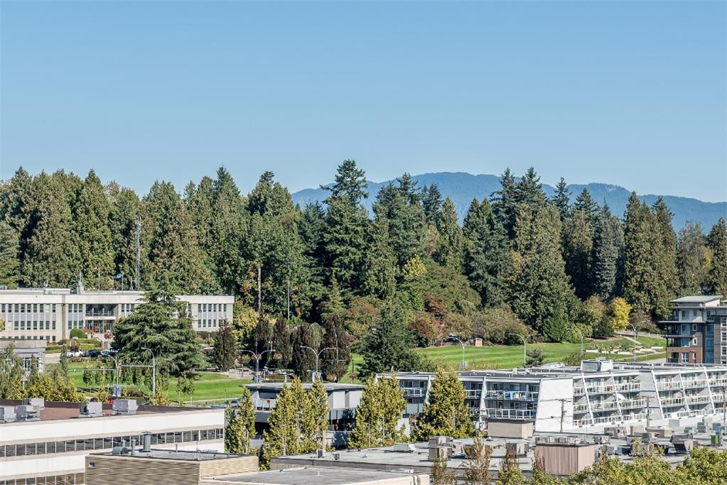 Carnarvon Centre Apartments - New Westminster 1 Bedroom 2