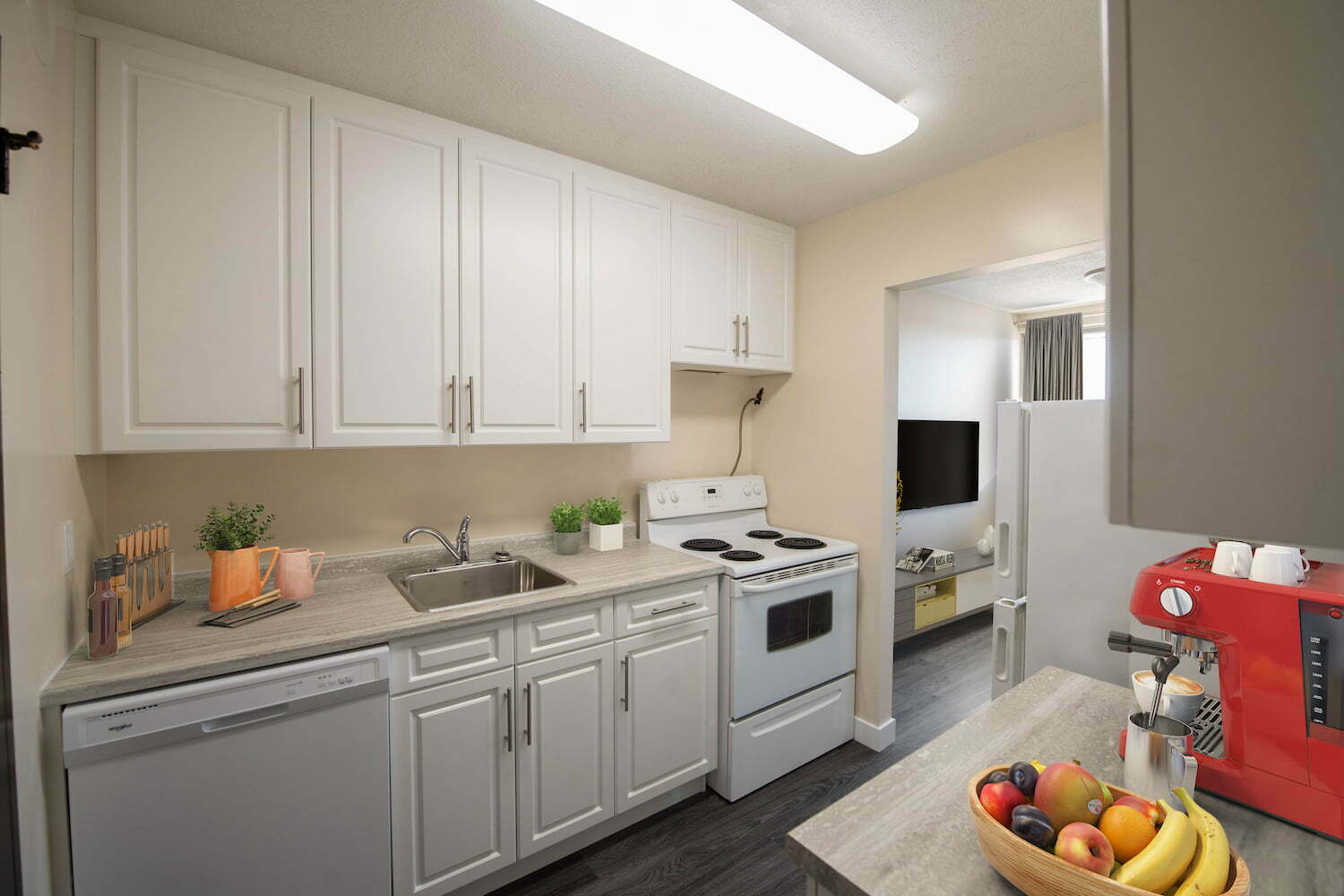 Dakota Towers - 1 Bedroom 5