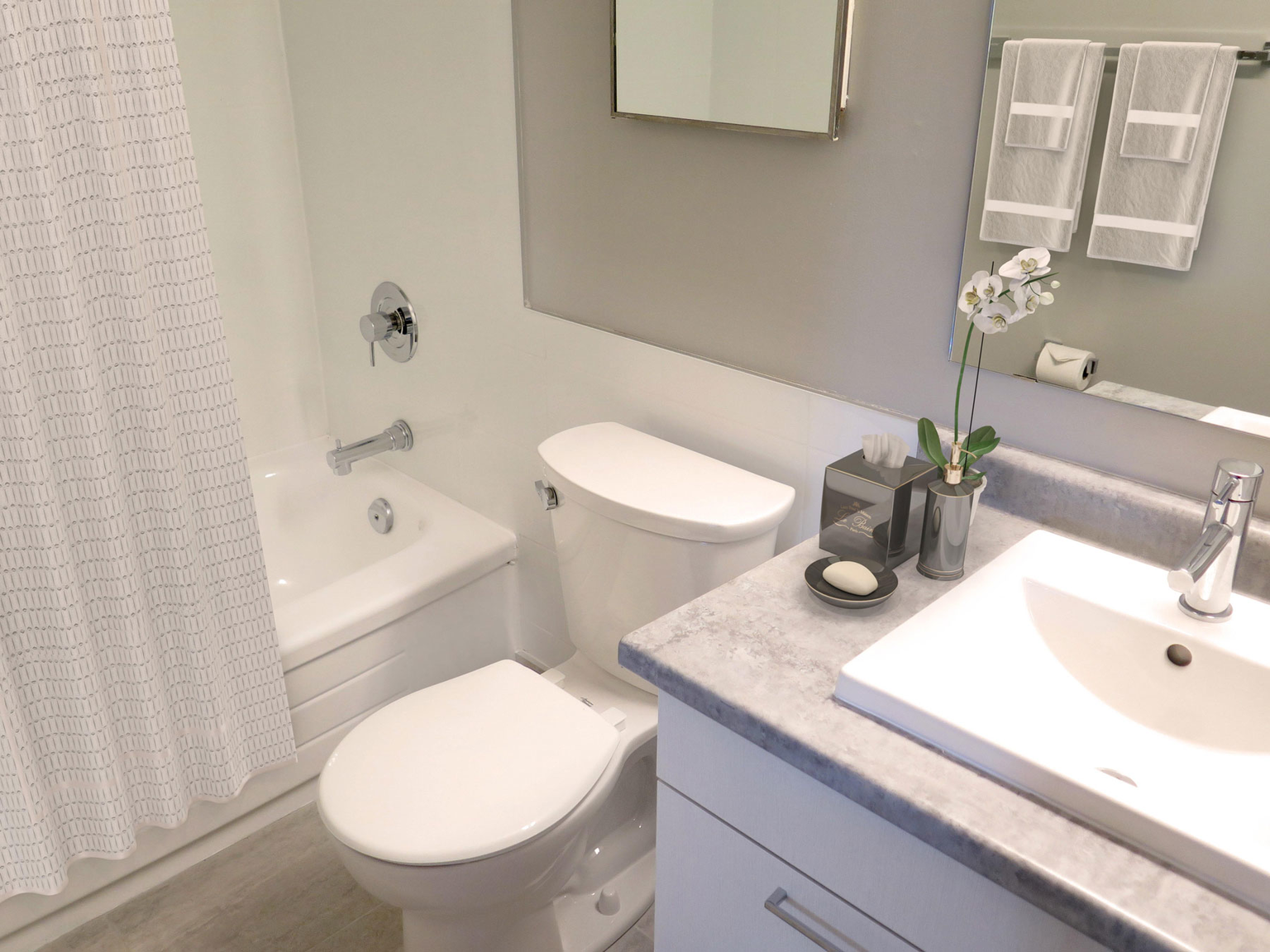 Castlegrove Estates - 1 Bedroom Premium 5