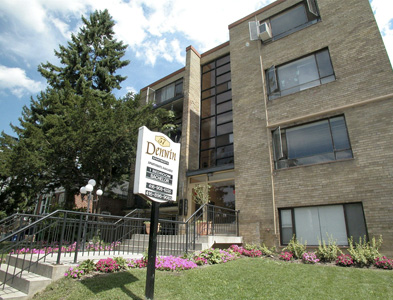57 Rawlinson Ave - Bachelor 2