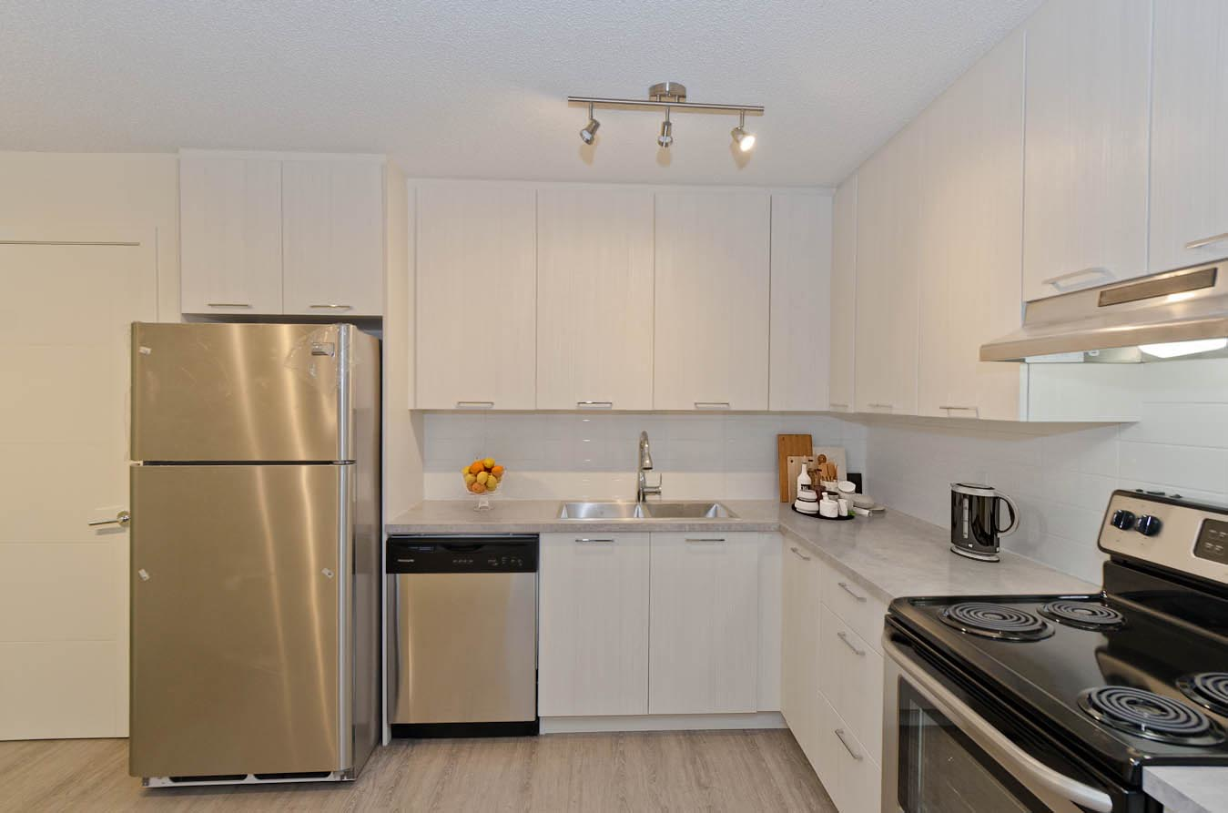 McKinnon Court Apartments - 1 Bedroom 2