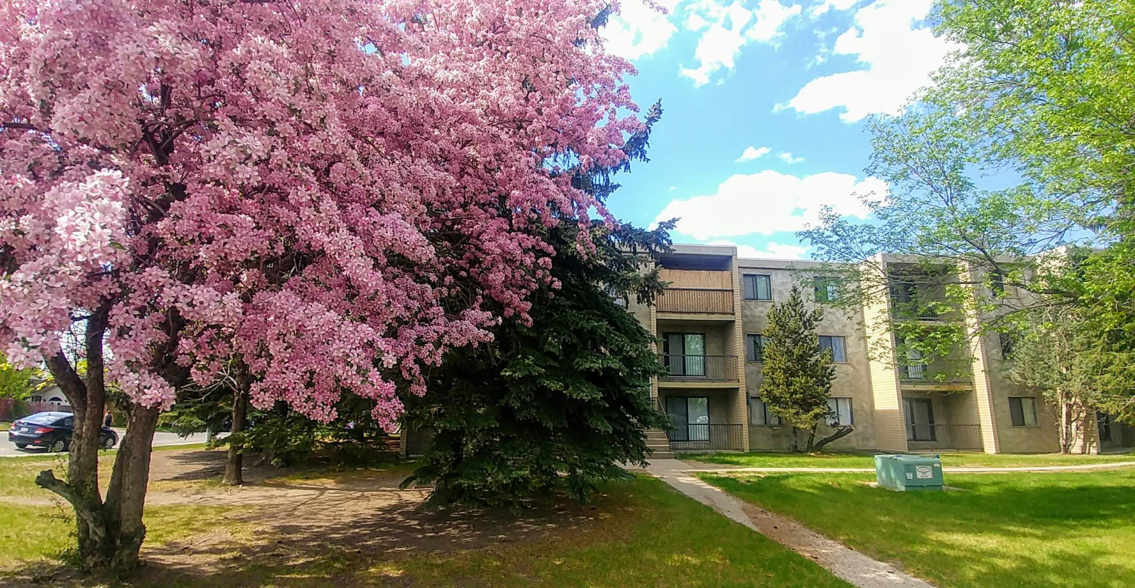 Cambridge House - 1 Bedroom 1 Bath 3