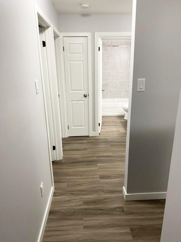 Centennial Apartments - 1 Bedroom 1 Bath 5