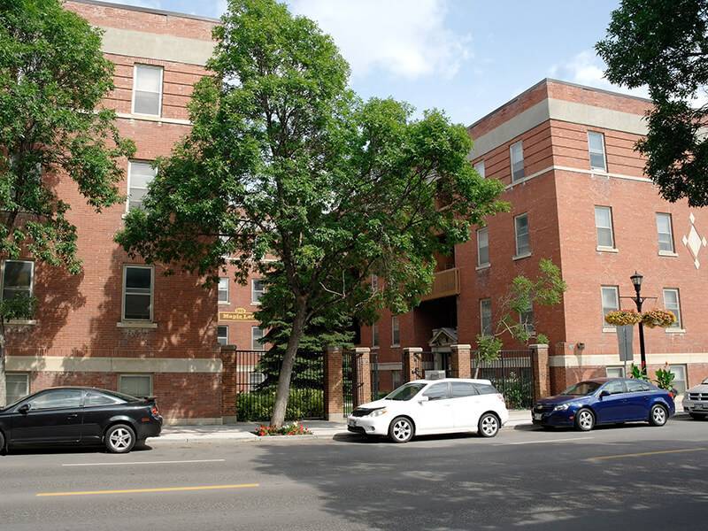 Maple Leaf Apartments - 1 Bedroom 2