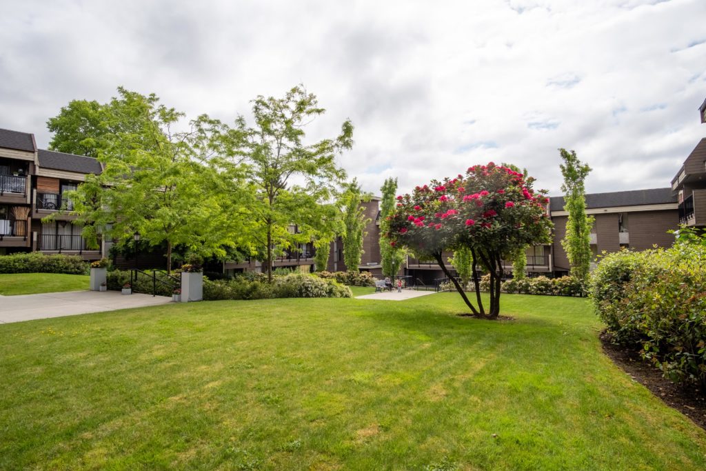 Cedar Terrace - New Westminster Studio (Bachelor) 3