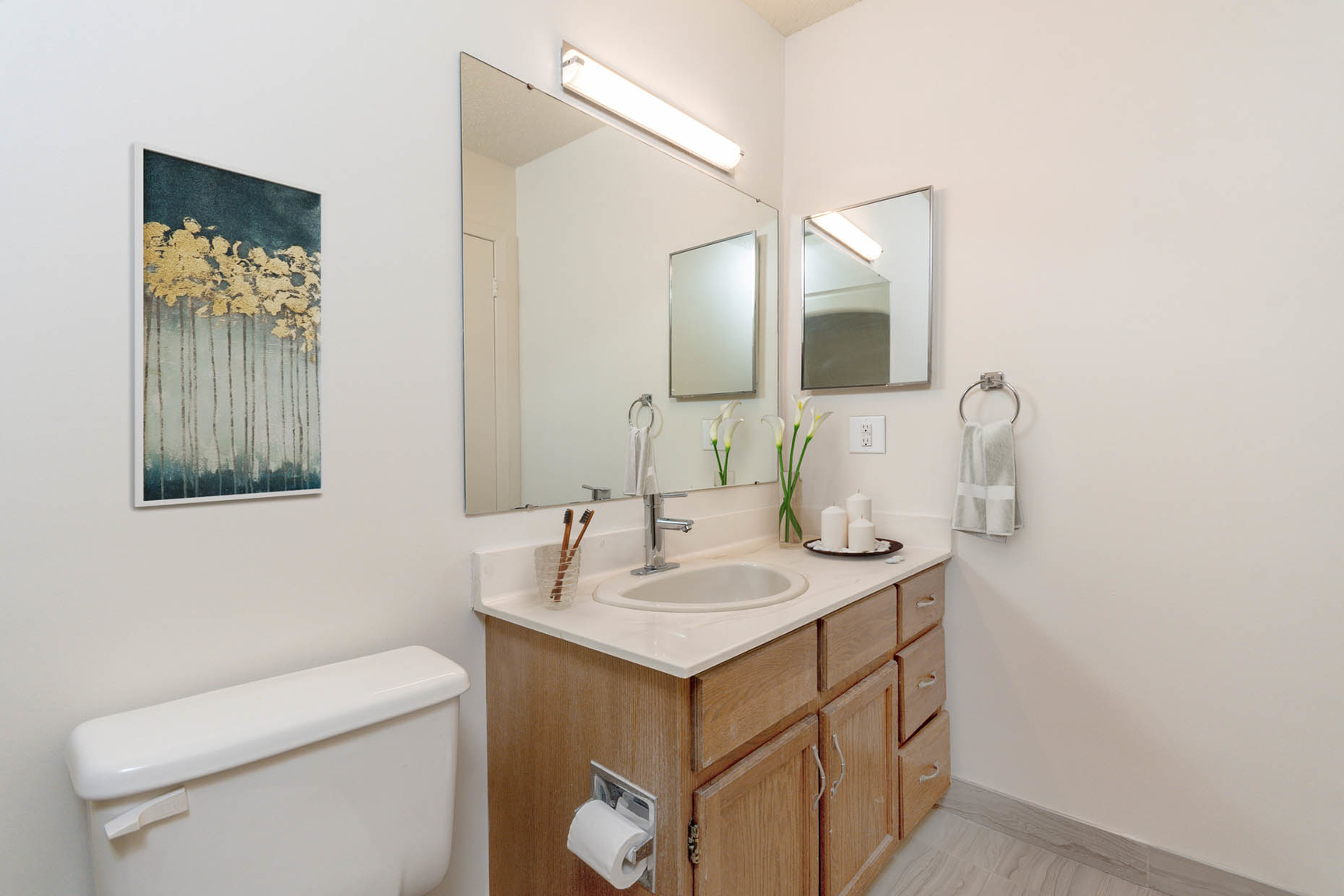 Greenbriar Apartments - 1 Bedroom 4