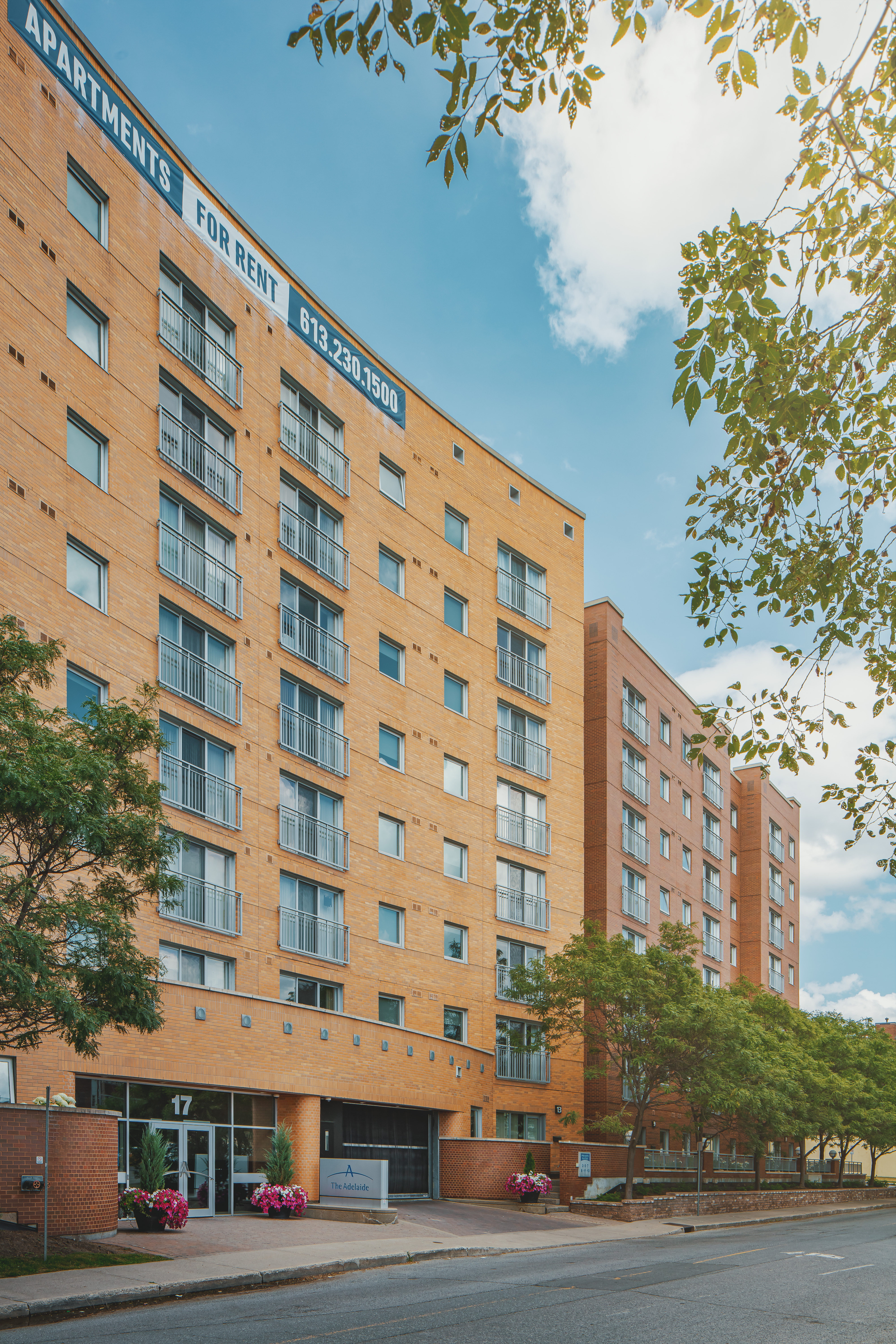 The Adelaide Suites - 2 Bedroom 5