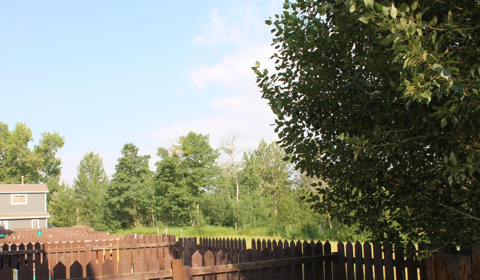 Willowbrook Townhomes - 3 Bedroom 1 Bath Townhouse 3