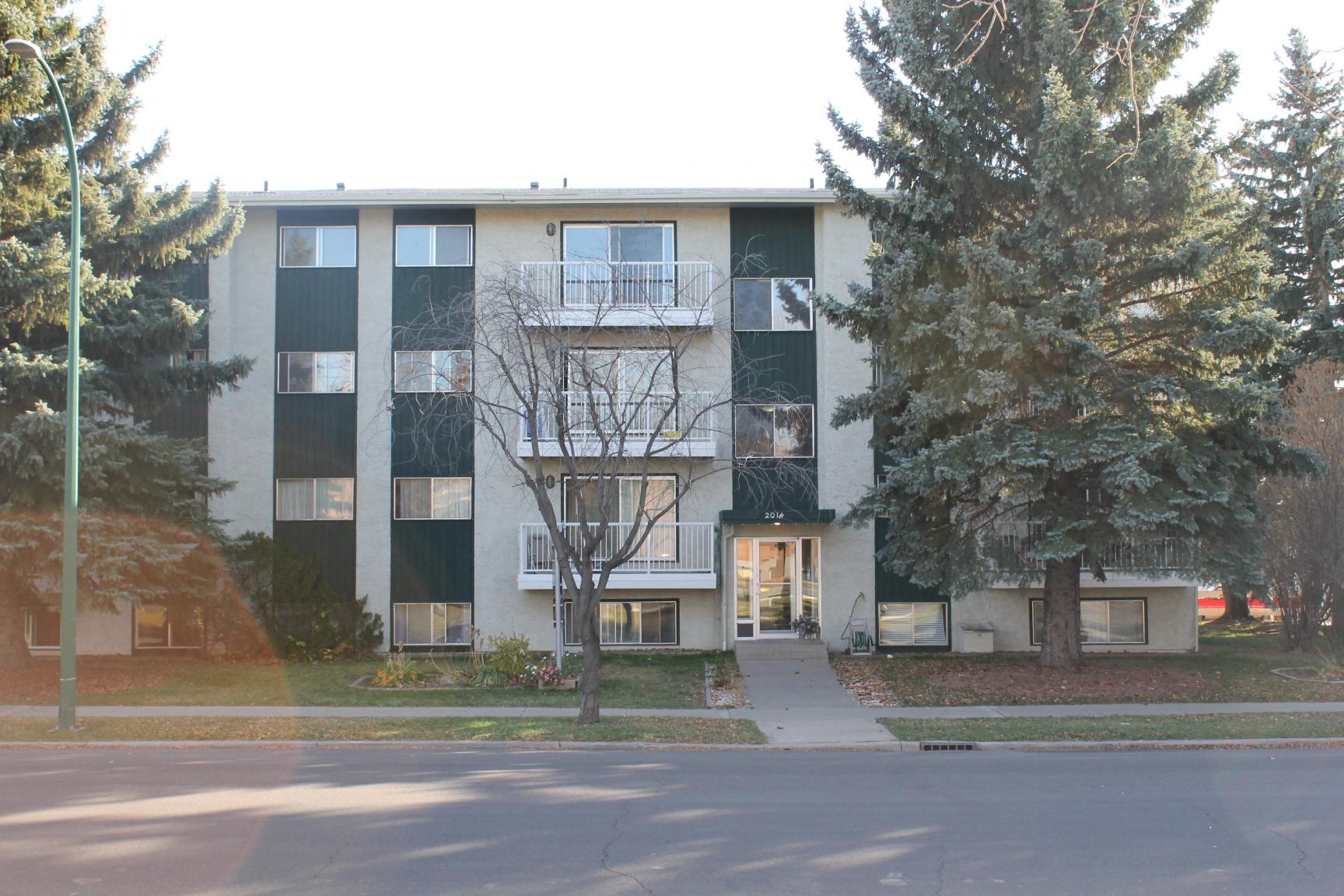 Treco Apartments - 1 Bedroom 1 Bath 3