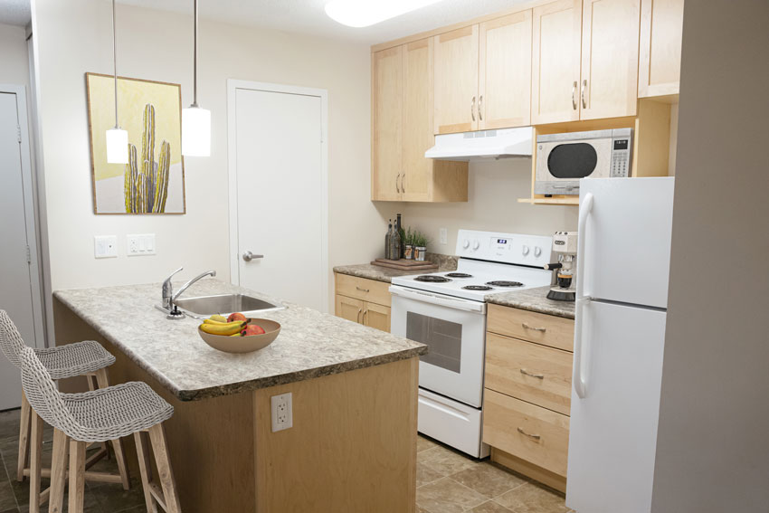 Tudor Village - Renovated 1 Bedroom 2