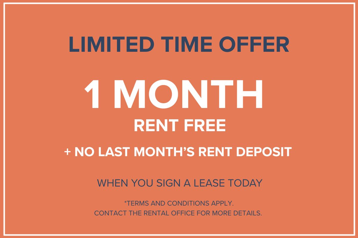 Rathburn Apartments - 1 Bedroom available at 2121 Rathburn Road East, Mississauga 2