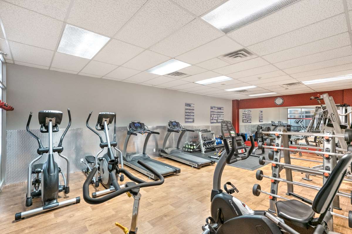 The Tadoussac Apartments - Bachelor available at 65 East Sherbrooke Street, Montreal 3
