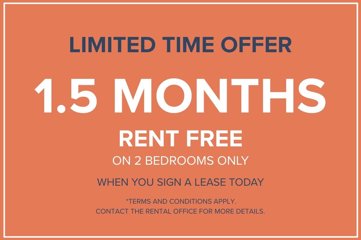 Dominik Apartments - Bachelor available at 1255 rue Saint-Dominique, Montreal 2