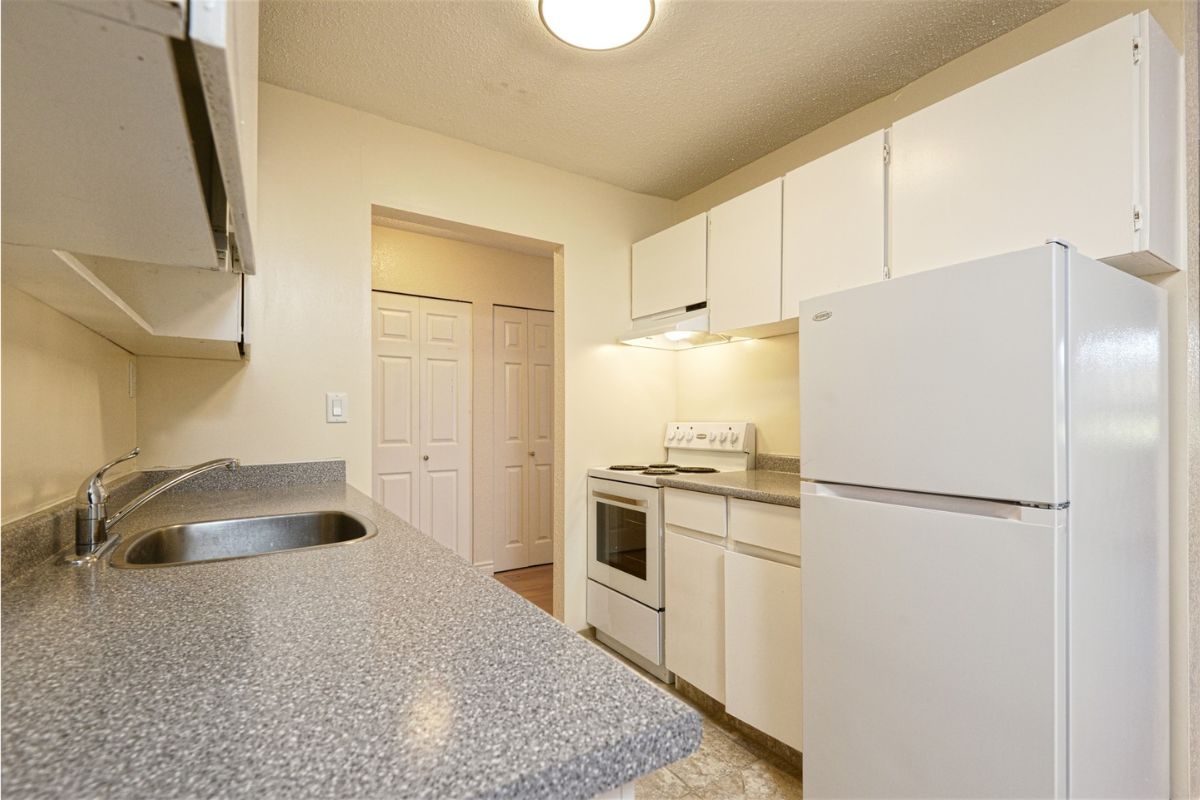 Terrace Green - Bachelor available at 180 Croft Street, Victoria 4
