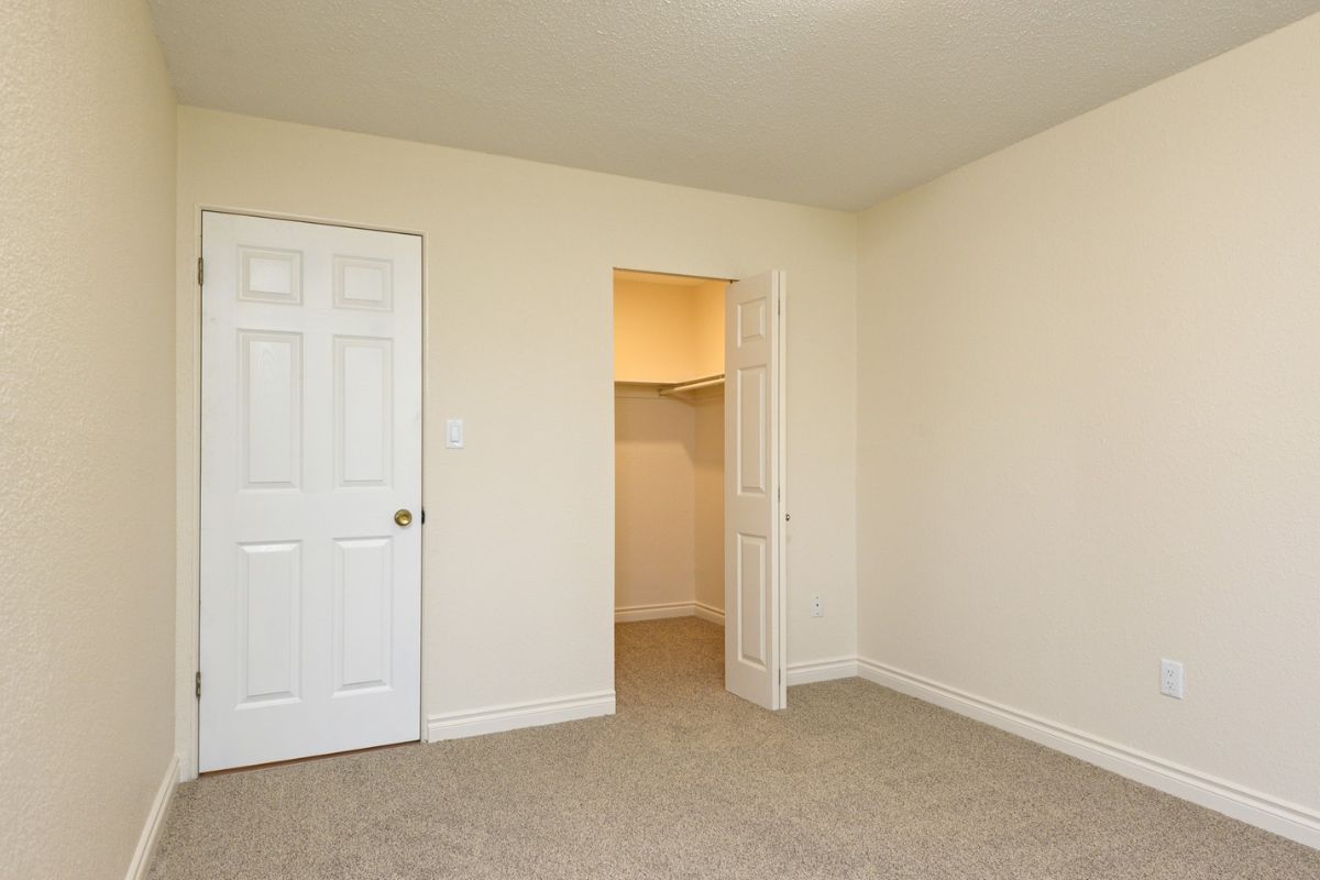 Terrace Green - Bachelor available at 180 Croft Street, Victoria 5