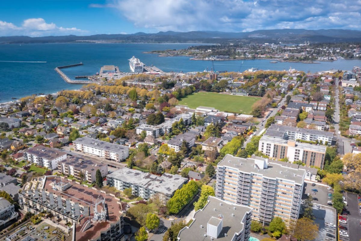 Terrace Green - Bachelor available at 180 Croft Street, Victoria 2