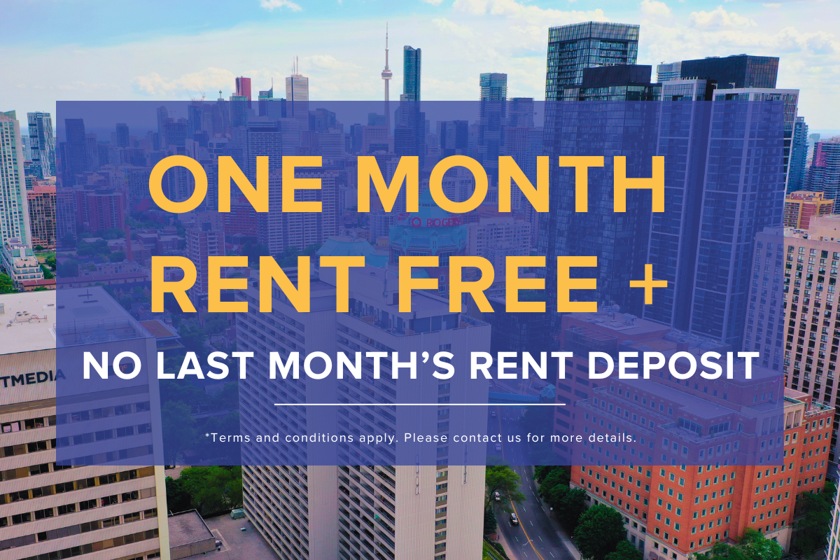 Huntley Apartments - 2 Bdrm available at 77 Huntley Street, Toronto 3