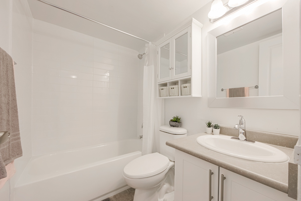 Alpine Apartments - 1 Bedroom available at 5 Tangreen Court, North York 3