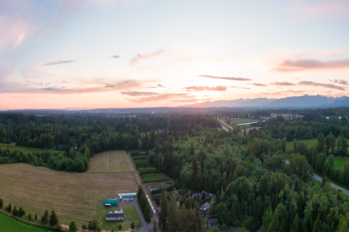 Creek Park Townhomes - Townhouse (2 bedroom) available at 5300 - 207 Street, Langley 5