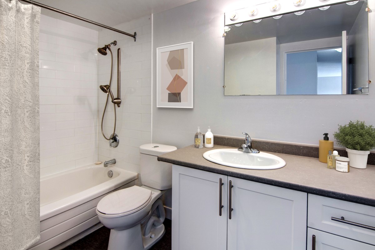 Gorge Apartments - 1 Bedroom available at 215-221,155,157 & 243 Gorge Road East 3