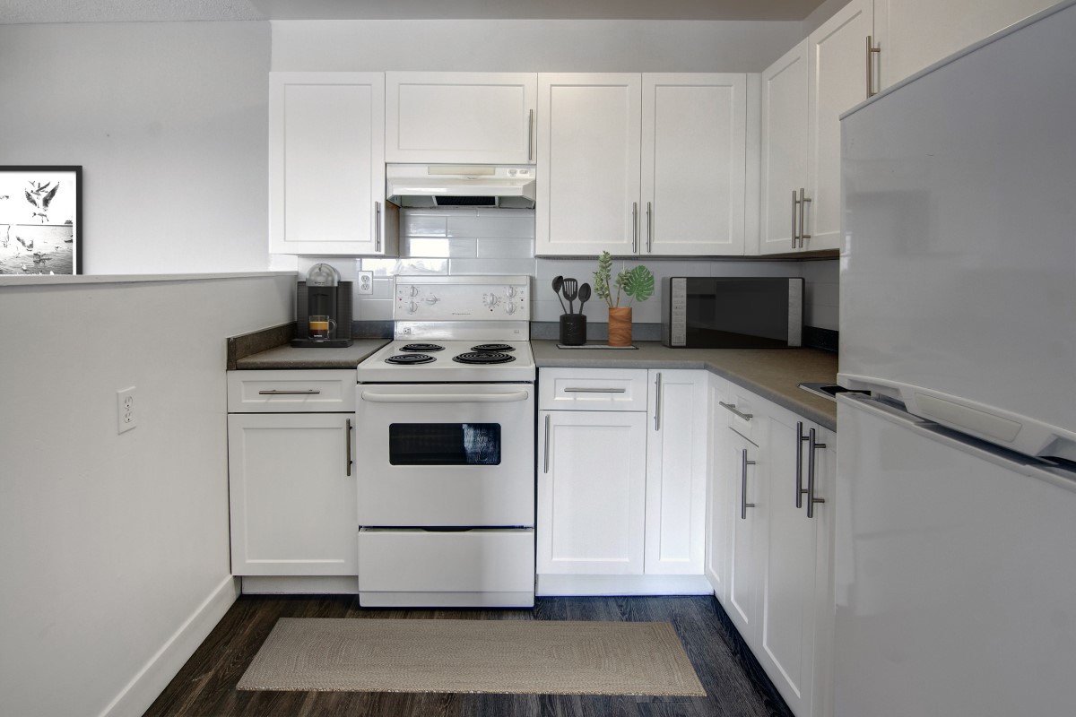 Gorge Apartments - 1 Bedroom available at 215-221,155,157 & 243 Gorge Road East 4
